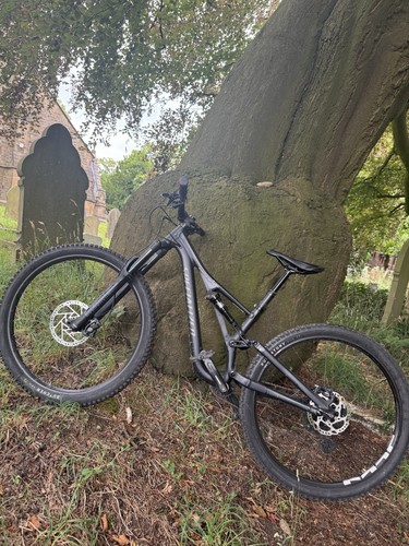 Specialized stumpjumper 2024 - specialized,